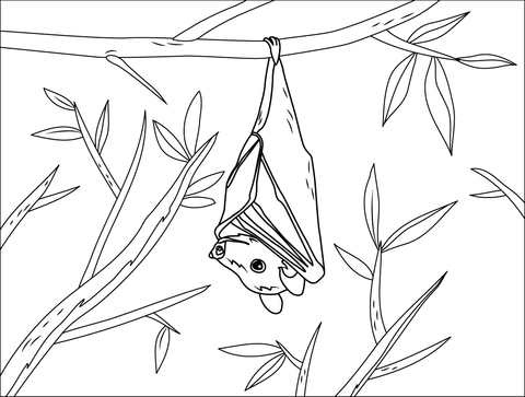 Buettikofers Epauletted Fruit Bat Coloring Page